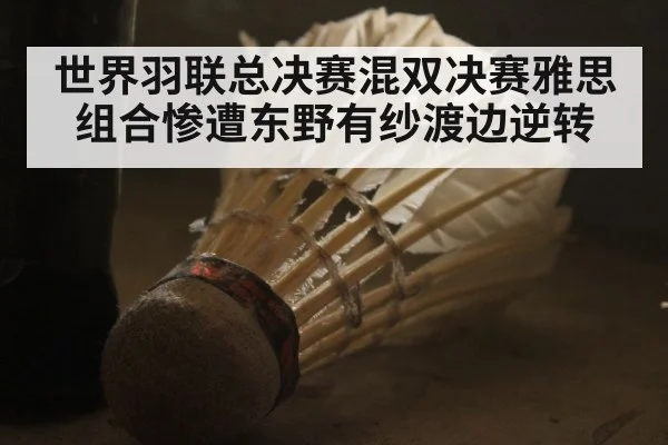 世界羽联总决赛混双决赛雅思组合惨遭东野有纱渡边逆转
